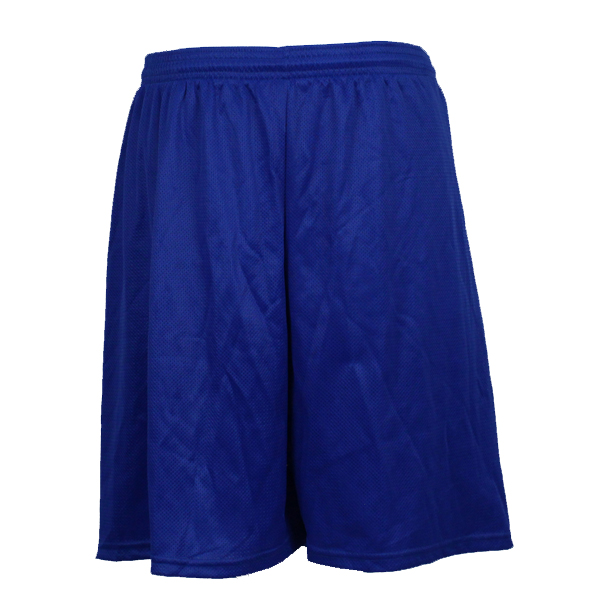 Blue Mesh Shorts